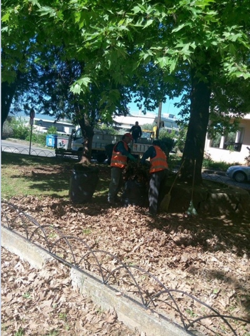 Εθελοντικός καθαρισμός στο 7ο Δημοτικό και τις Εργατικές Αγ. Βαρβάρας (φωτο)