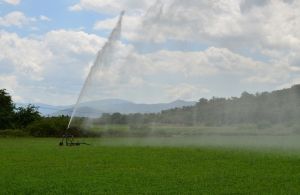 Επαναχρησιμοποίηση νερού στη γεωργική άρδευση