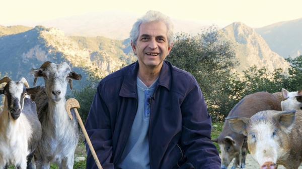 Ο Αλέκος και το κοπάδι του στην ορεινή Ναυπακτία | Η κτηνοτροφία αργοπεθαίνει | (βίντεο)