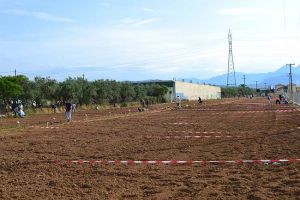 Βράβευση καλύτερων κηπουρών του δημοτικού λαχανόκηπου δήμου Αγρινίου για το ετος 2017 (Τρι 14/11/2017)