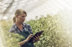 Οι αγρότισσες οδηγούν τον ψηφιακό μετασχηματισμό