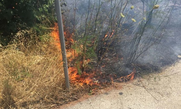 Απαγόρευση καύσης από σήμερα 11 έως 18 Μαρτίου, λόγω υψηλού κινδύνου πυρκαγιάς