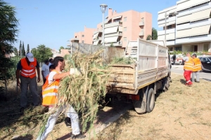 O πίνακας με τις ειδικότητες για την κοινωφελή εργασία του ΟΑΕΔ