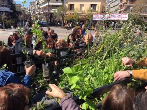 Μοίρασε φυτά για την Παγκόσμια Ημέρα Δασοπονίας το Δασαρχείο Αγρινίου