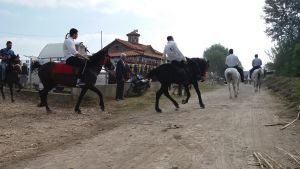 Εντυπωσίασαν τα άλογα στο εξωκλήσι του Άϊ Γιώργη στα Καλύβια (φωτο)