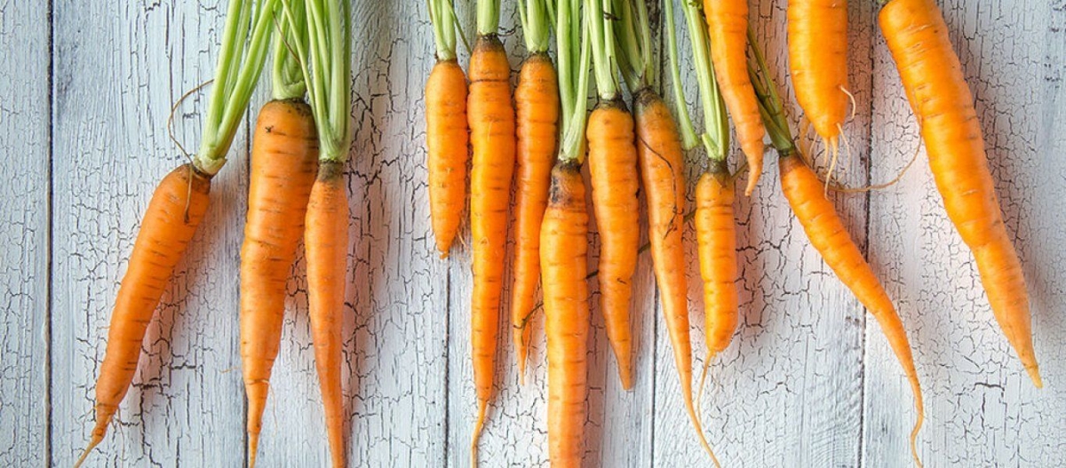 Τα 4+1 σημαντικά οφέλη του καρότου για την υγεία