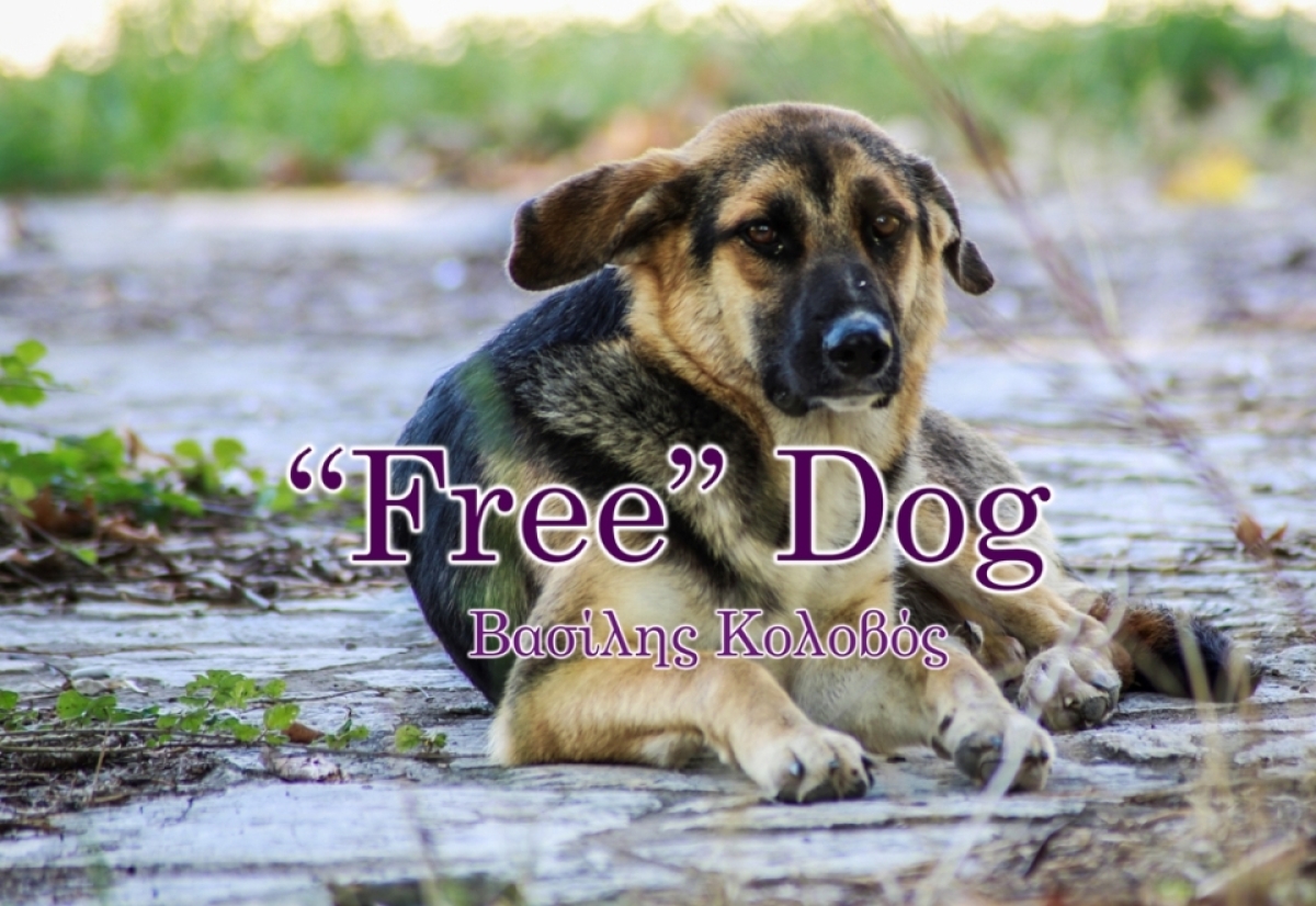 &quot;Free&quot; Dog, το τραγούδι και βιντεοκλίπ που ευαισθητοποιεί για τα δικαιώματα των ζώων (στίχοι - μουσική - ερμηνεία: Βασίλης Κολοβός)