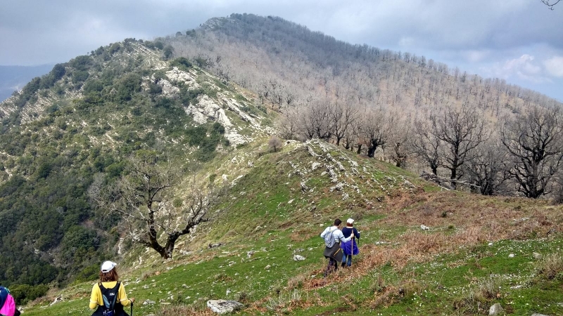 Αναβάλλεται για την επόμενη Κυριακή  (Κυρ 4/10/2020) η πορεία του Ορειβατικού Συλλόγου Μεσολογγίου