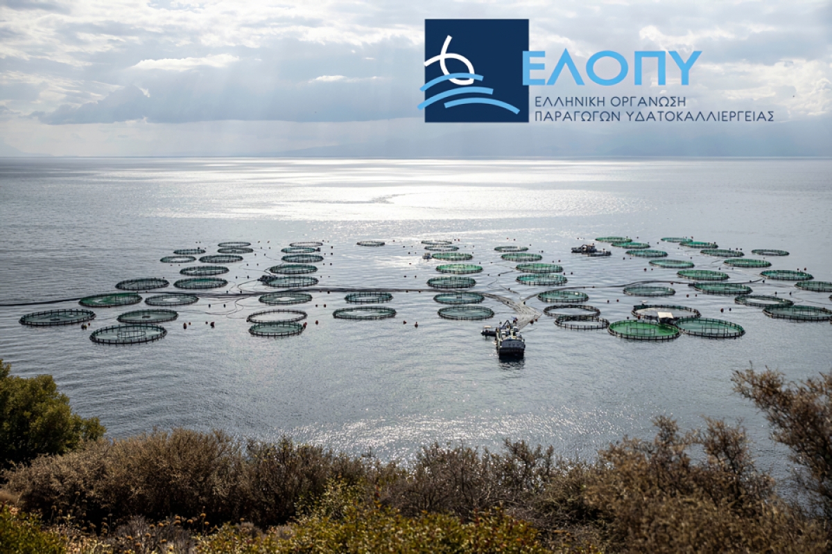 Αξιόλογη και δυναμική η εκπροσώπηση της Ελληνικής Ιχθυοκαλλιέργειας  μέσω της Ελληνικής Οργάνωσης Παραγωγών Υδατοκαλλιέργειας (ΕΛΟΠΥ),   στη Seafood Expo Global, Βαρκελώνη, 25 – 27 Απριλίου 2023