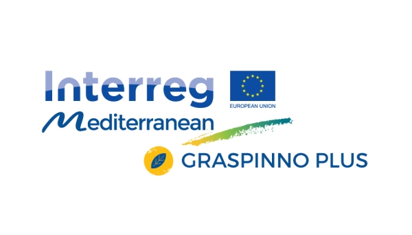 Διεθνική συνάντηση στην Πάτρα στο πλαίσιο του ευρωπαϊκού έργου GRASPINNO PLUS