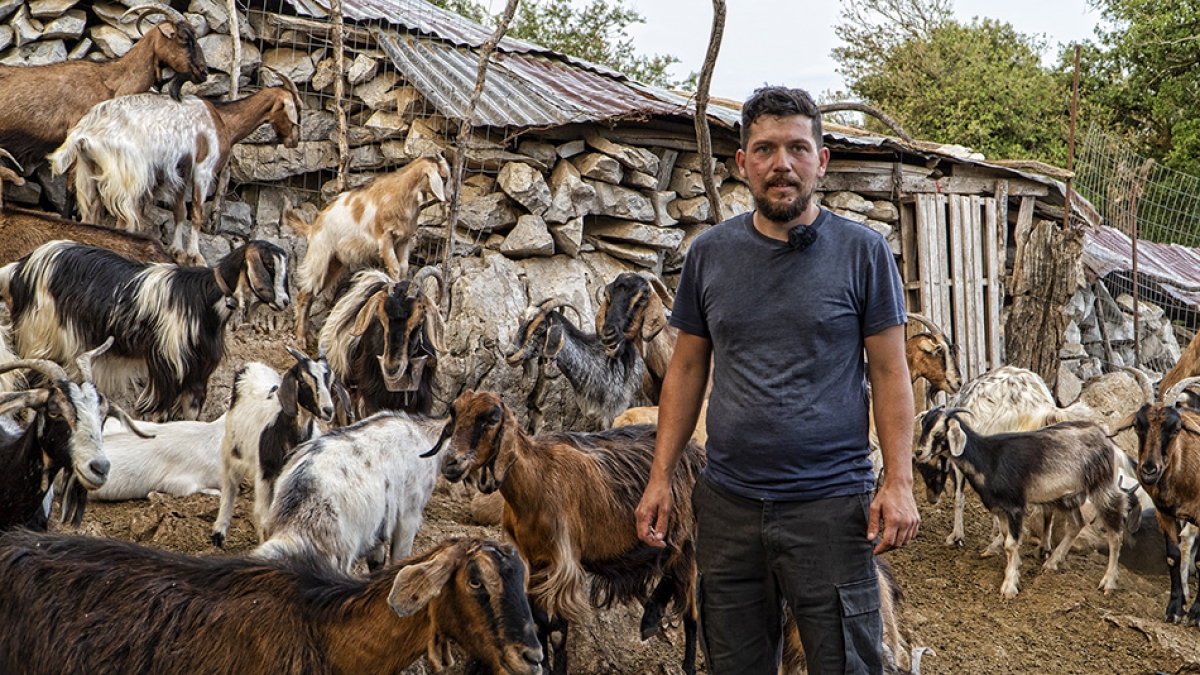 Εγκατέλειψε την πόλη για το χωριό και να γίνει κτηνοτρόφος | Greek Village Life | Η ζωή στο χωριό