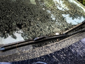 Αιτωλοακαρνανία: Αραιή συννεφιά κατά περιόδους αυξημένη με συνοδεία αφρικάνικης σκόνης – Tοπικές λασποβροχές