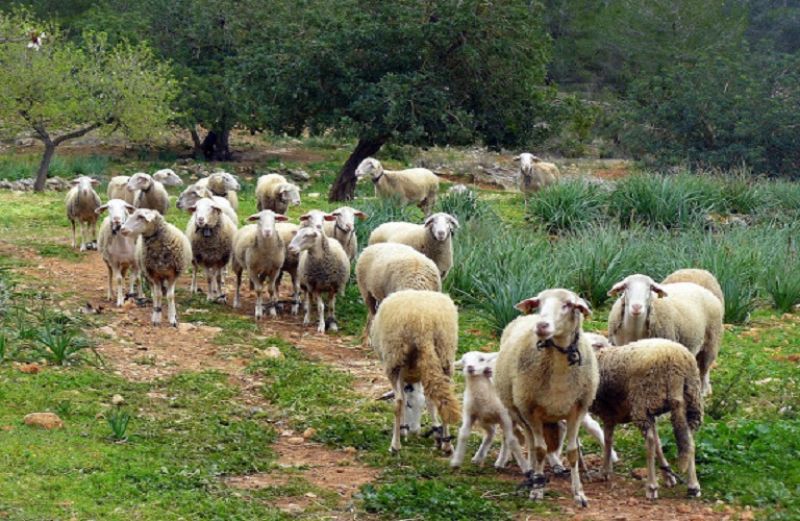 Διατήρηση συνδεδεμένων και διεκδίκηση νέας περιβαλλοντικής ενίσχυσης