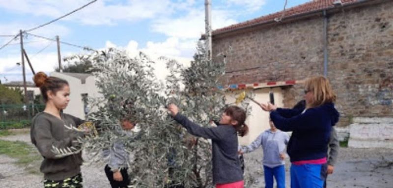 Λιομάζωμα από μαθητές του 2ου Δημοτικού Σχολείου Παναιτωλίου