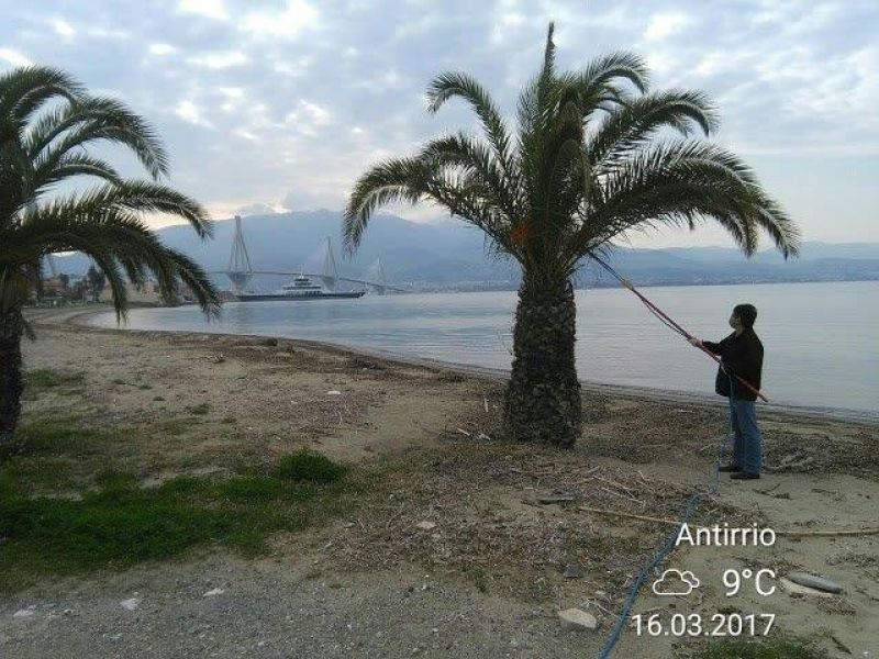 Δήμος Ναυπακτίας: Ραντισμοί - Κλαδεύσεις Δημοτικού Λιμενικού Ταμείου