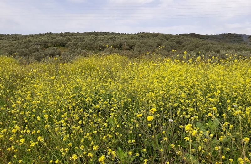 Πληρωμές 3,74 εκατ. ευρώ