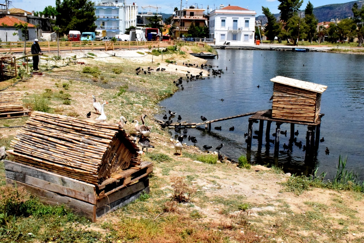 Ένα πανέμορφο καταφύγιο υδρόβιων πτηνών δημιουργήθηκε στο Αιτωλικό (φωτο)