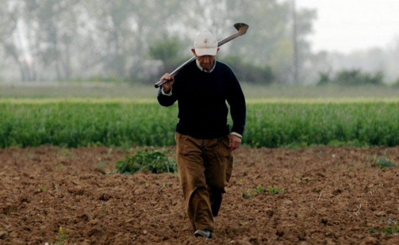 ΟΠΕΚΕΠΕ: Πότε πληρώνονται οι αγροτικές επιδοτήσεις