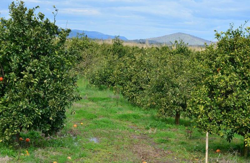 Πληρωμές 10,18 εκατ. ευρώ σε 9.305 δικαιούχους