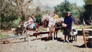 H τσοπάνισσα του Ξηρομέρου:  Η αφανής ηρωίδα της υπαίθρου.