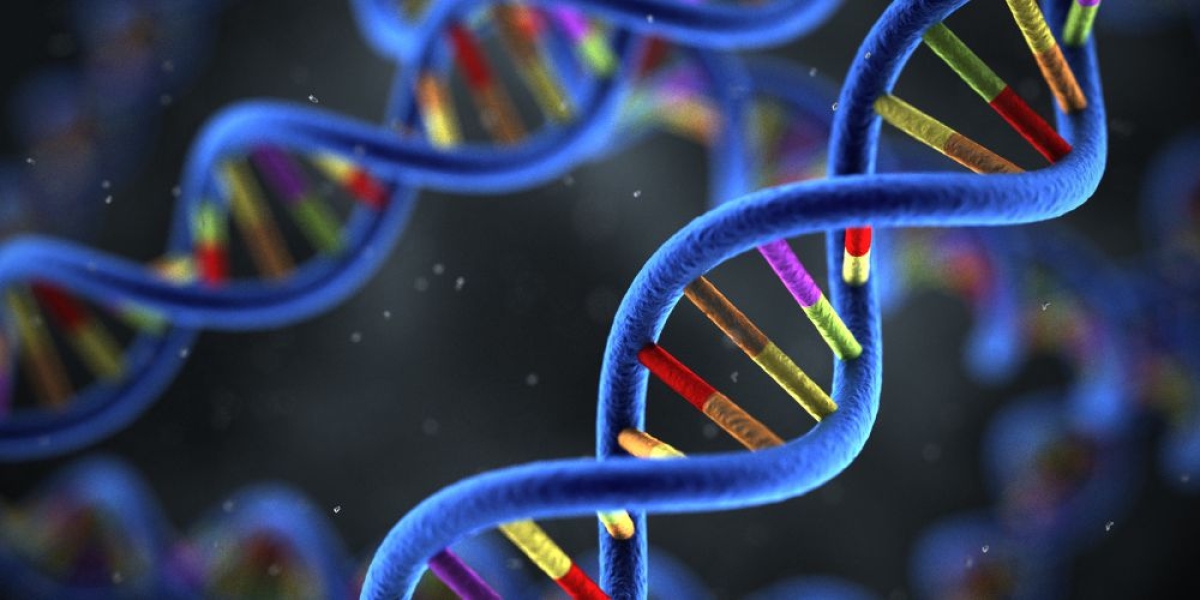 Διατροφογενετικό Τεστ DNA- Διατροφή βάση Γονιδίων