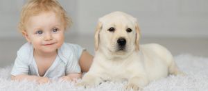 Δείτε τα πέντε πράγματα που μπορεί να μάθει ένα παιδί που μεγαλώνει μαζί με σκύλο