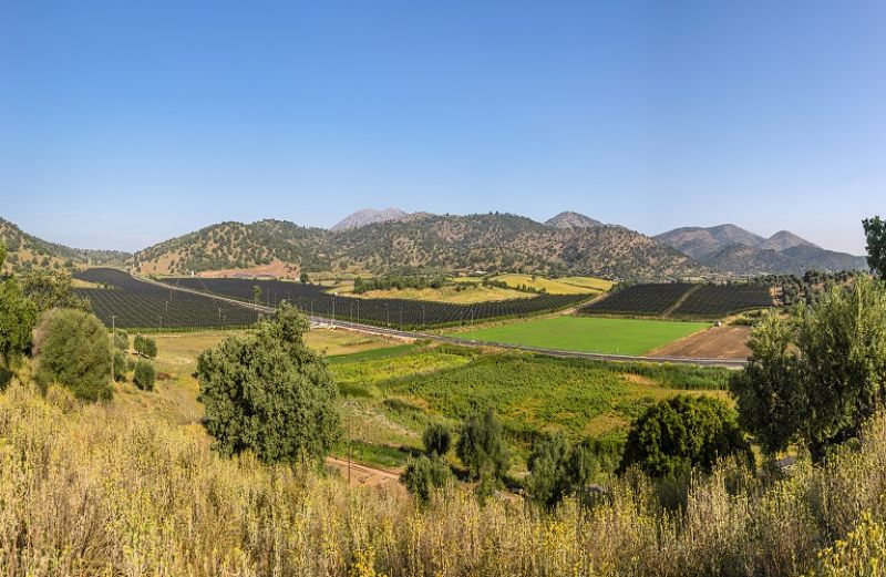 Σχέδια Βελτίωσης, Μεταποίηση και Ταμείο Εγγυήσεων