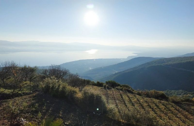 Οι δικαιούχοι και οι δεσμεύσεις που θα αναλάβουν στο νέο πρόγραμμα Bιολογικής Γεωργίας