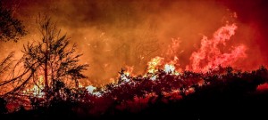 Πυρκαγιές σε Βόνιτσα, Κεφαλονιά, Ζάκυνθο και Φωκίδα - Απανωτά μηνύματα 112