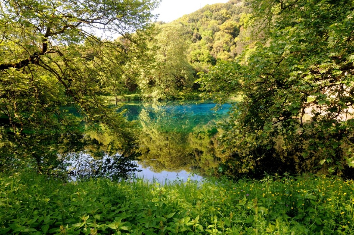 Υδάτινες διαδρομές: Εικόνες γεμάτες φύση και ομορφιά από ποτάμια της Δυτικής Ελλάδας (video)