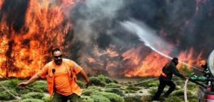 140 εκατ. ευρώ και πάνω από 500 στελέχη στις δασικές υπηρεσίες για την πρόληψη πυρκαγιών