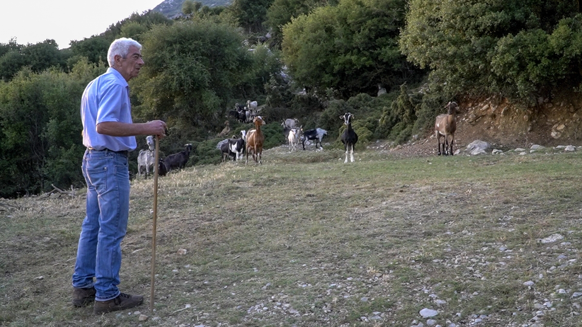 Ο Αποστόλης αναπολεί το ξεκαλοκαιριό στην βουνίσια πατρίδα | Η ζωή στο χωριό (βίντεο)