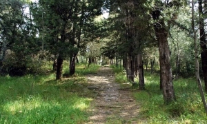 2ο City trail Agrinio: Καθαρισμοί διαδρομών από τον Σύλλογο Δρομέων Υγείας Αγρινίου