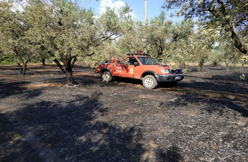 Κρατικές Οικονομικές Ενισχύσεις ύψους 2,1 εκατ. ευρώ