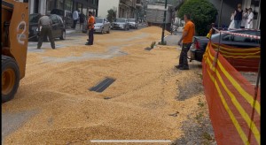 Γέμισε καλαμπόκι ο κεντρικός δρόμος της Αμφιλοχίας-απίστευτο σκηνικό (βίντεο)