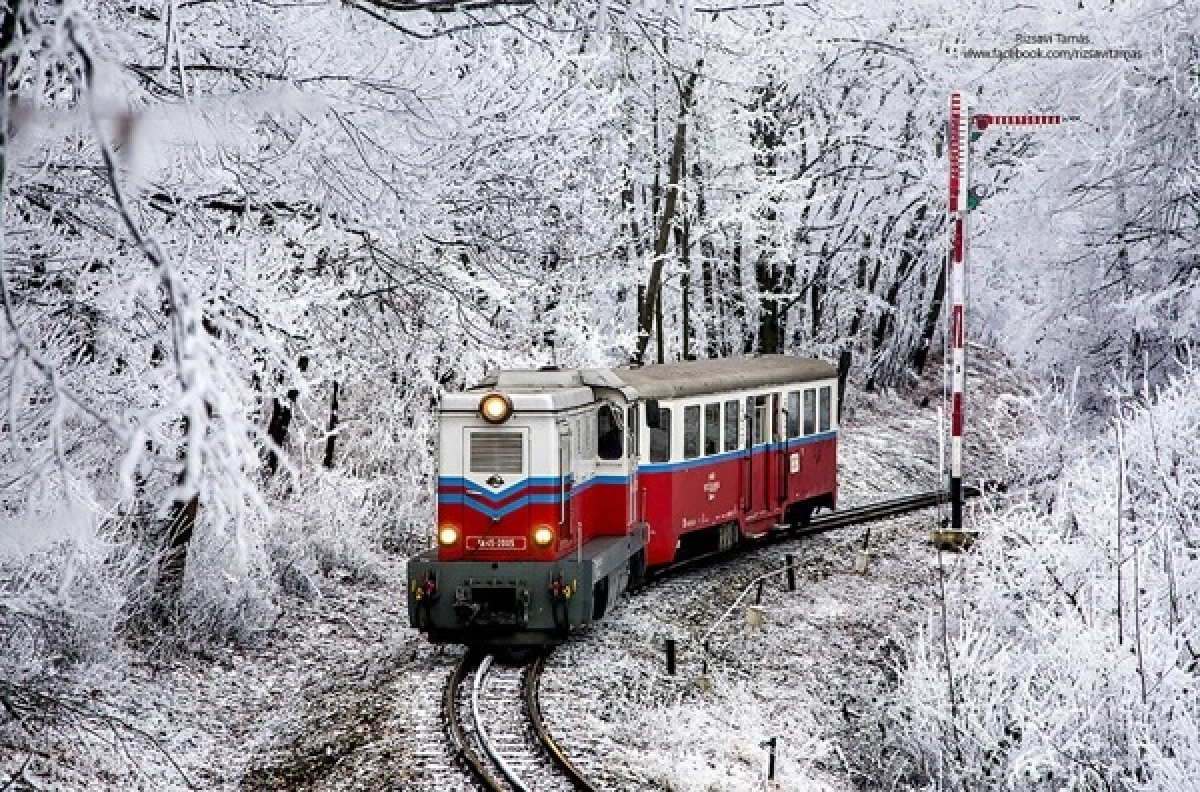 «Μαγικές» εικόνες από τρένα μέσα σε χιονισμένα τοπία (φωτο)