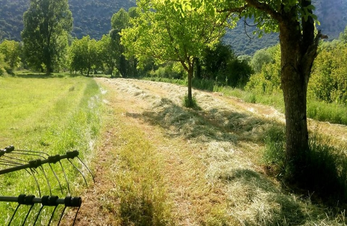 Αγρότες, κορωνοενισχύσεις και φορολογία: τι ισχύει