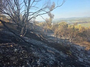 Στηρίζει τη Σταμνά η Κοινότητα Πενταλόφου – Εθελοντές έδωσαν μάχη στα πύρινα μέτωπα
