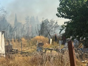 Κάηκαν πέντε στρέμματα από φωτιά στο Αγρίνιο (φωτο)