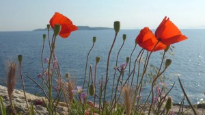 Καιρός – Τσατραφύλλιας: Με αφρικανική σκόνη και λασποβροχές η επιστροφή των εκδρομέων του Πάσχα