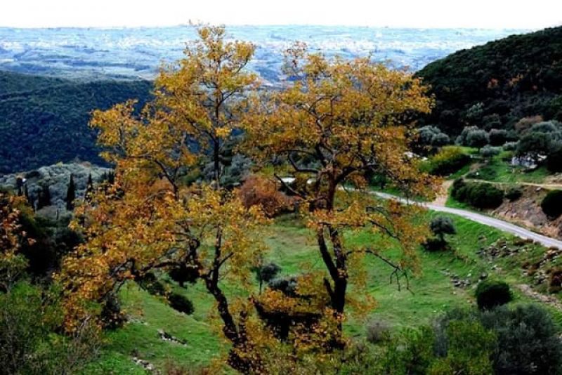 Πρόγνωση καιρού εβδομάδος 25/11-1/12 για το Αγρίνιο....