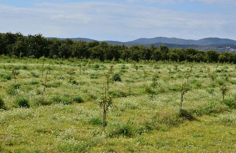 Πληρωμή 2,6 εκατ. ευρώ σε 188 δικαιούχους