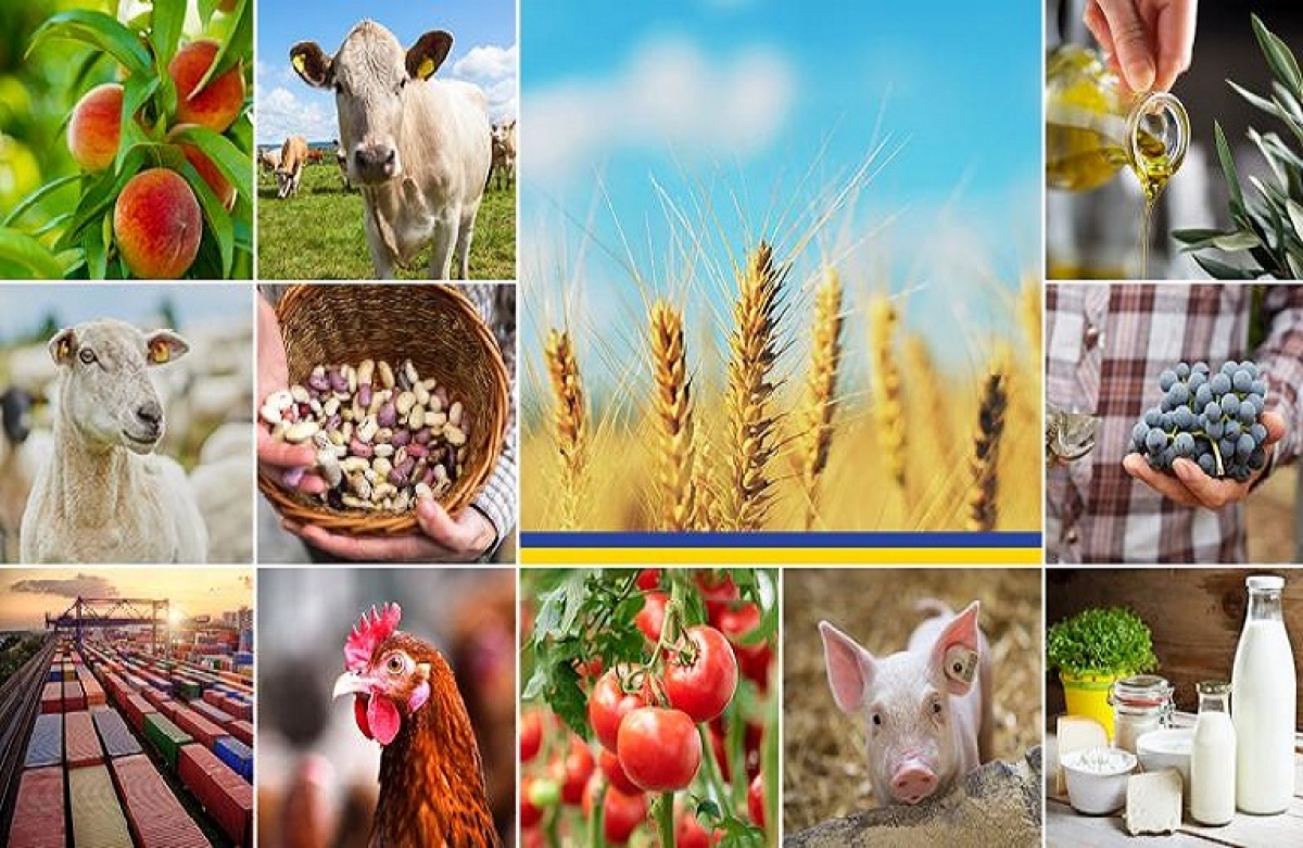 Βραχυπρόθεσμες προοπτικές: Οι γεωργικές αγορές της ΕΕ παραμένουν σταθερές
