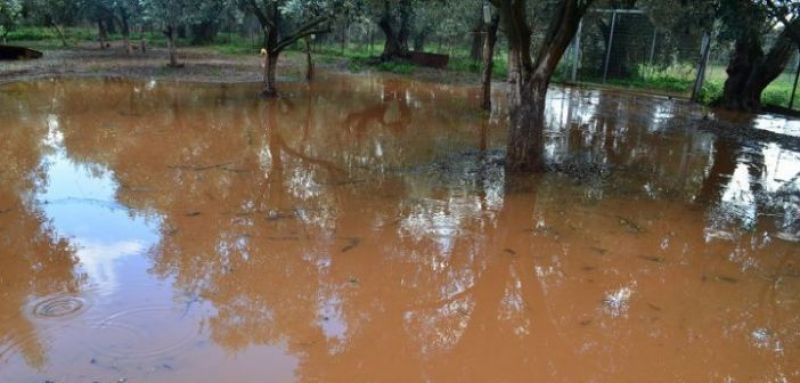 Αιτήσεις για τα Προγράμματα Κρατικών Οικονομικών Ενισχύσεων