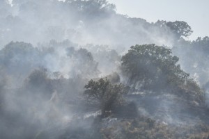 Φωτιά στις Οινιάδες: Σώθηκε το αρχαίο θέατρο, κάηκε ο λόφος