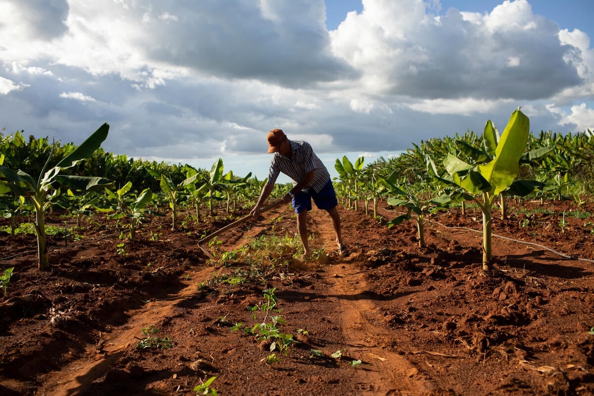 Η μόνη λύση στην αγροτική κρίση: φύση και αγρότες σε συμμαχία