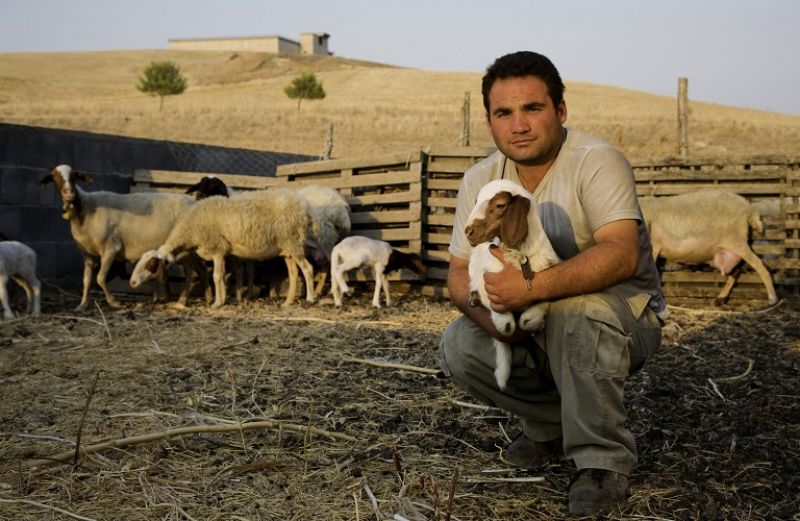 Εκπαίδευση νέων κτηνοτρόφων