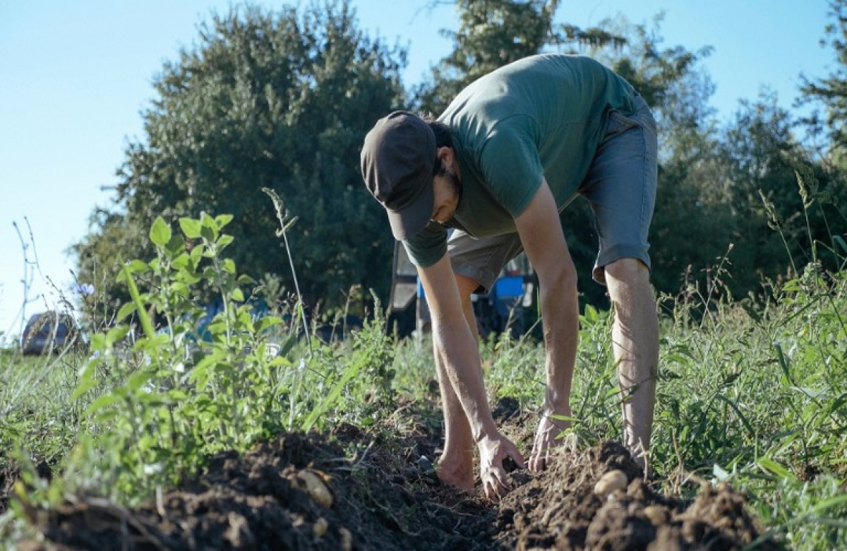 12, 3 εκατ. ευρώ για την κατάρτιση 12.619 νέων αγροτών