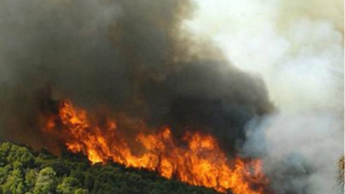 Φωτιά στο Αγρίνιο: Επίγειες και εναέριες δυνάμεις στη μάχη με τις φλόγες – Νεότερη ενημέρωση