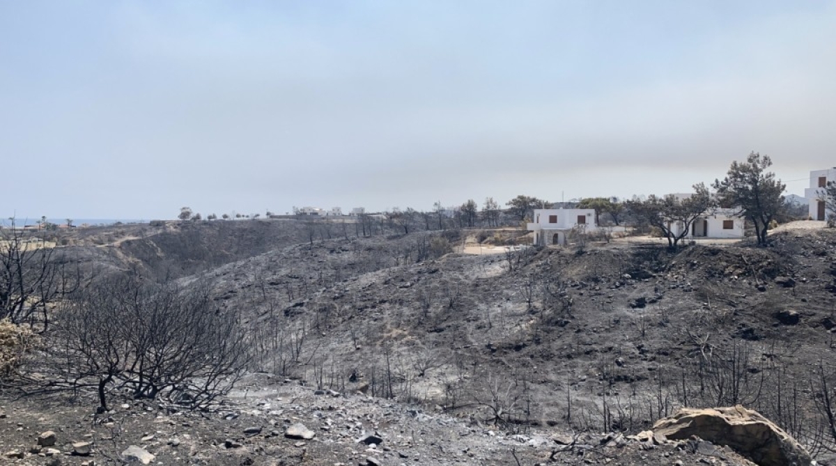 Αποφάσεις του ΕΛΓΑ για αποζημιώσεις σε πληγέντες παραγωγούς από πυρκαγιές